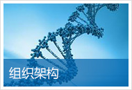 組織架構