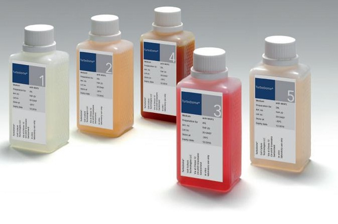 TurboDoma TP-6 雜交瘤 培養基